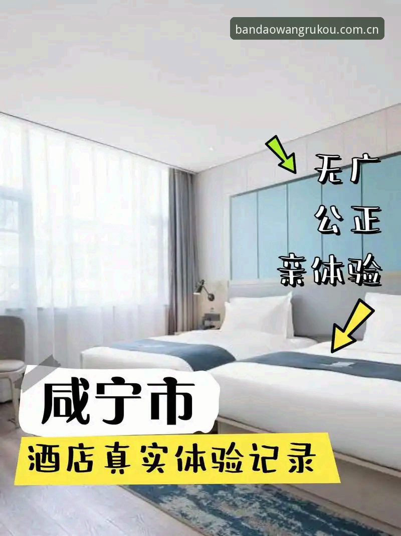 半岛体育娱乐平台 半岛体育官网与同类平台对比:我的真实体验与选择指南